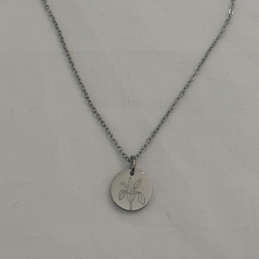 NWOT Iris Stainless Steel Pisces - February Birth Flower Necklace Mother’s Day
